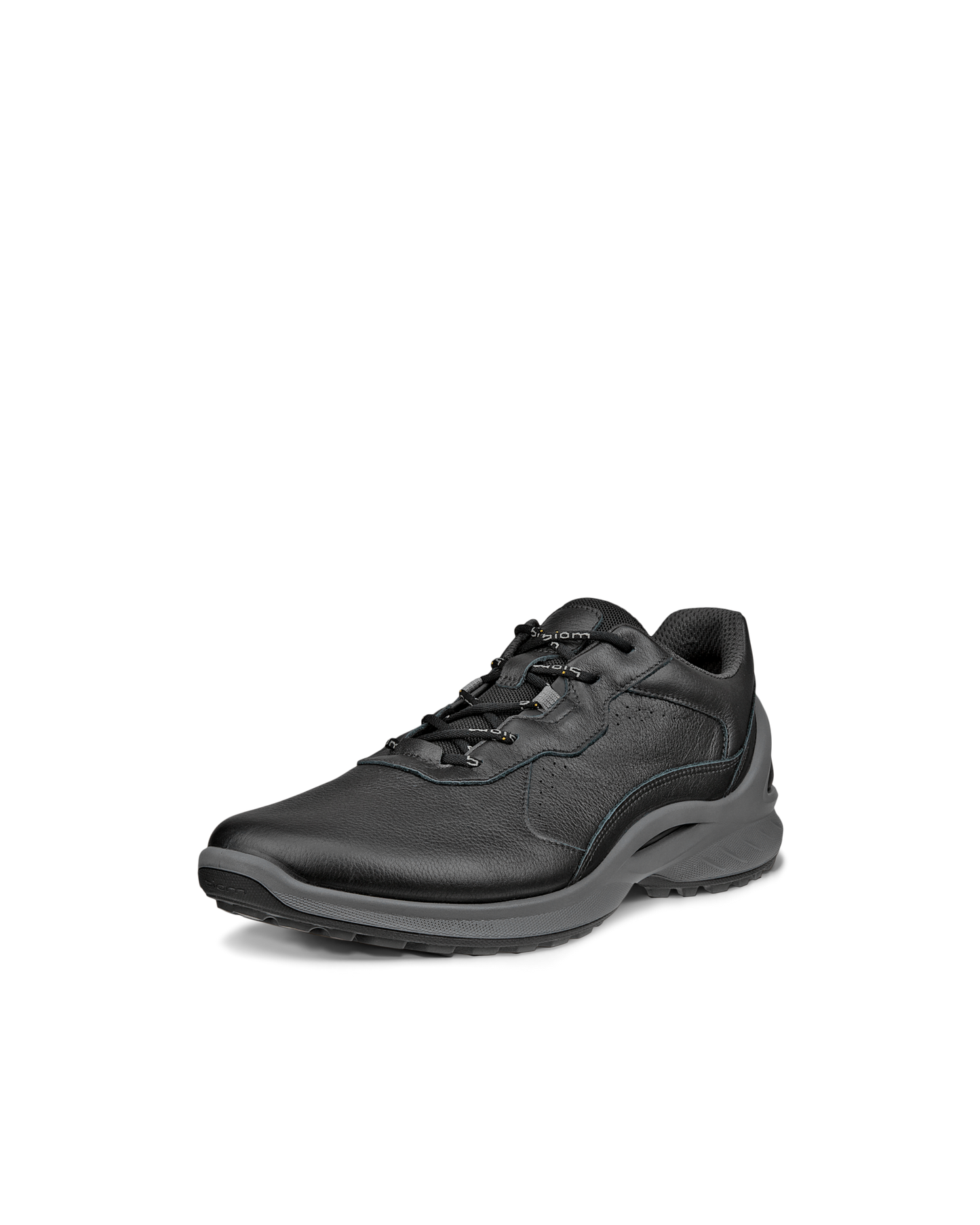 ECCO BIOM ENERGI – Lav herresneaker i fuldnarvet læder med BIOM® NATURAL MOTION®